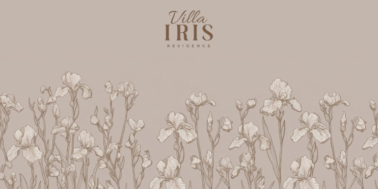 copertina_iris copy